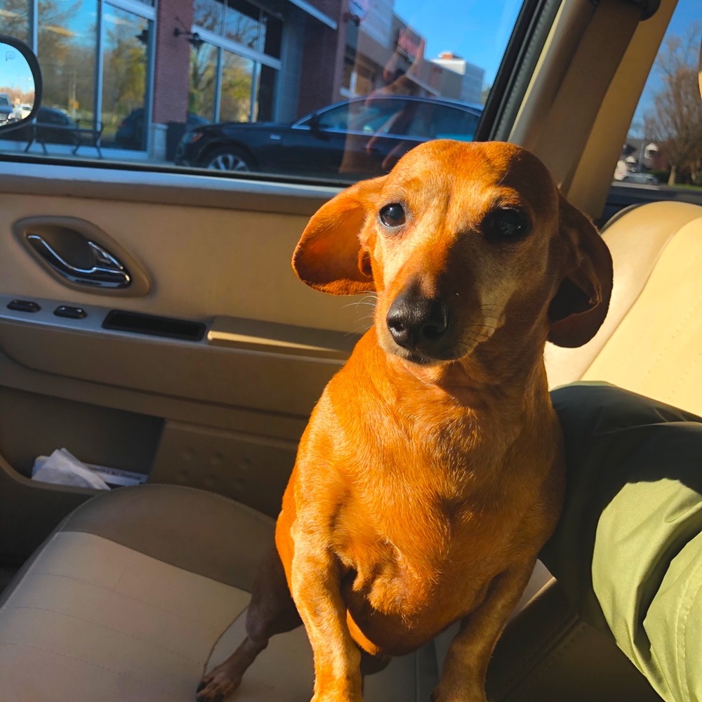 Meet Heidi Kardashian!Foodie extraordinaire!